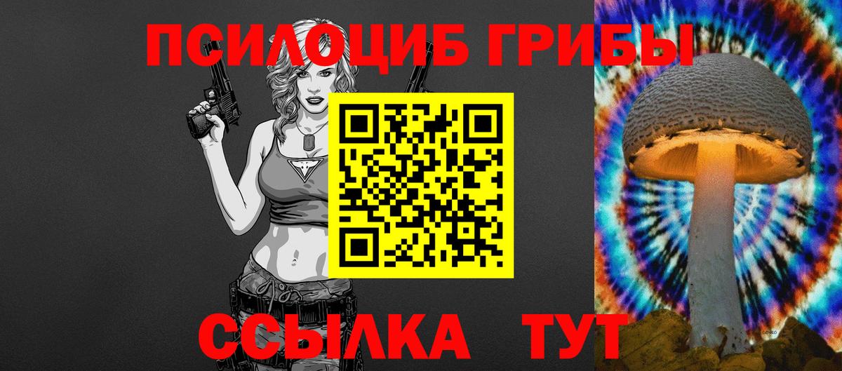 Галлюциногенные грибы Psilocybe  Галлюциногенные грибы GOLDEN TEACHER  Михайловск  Вход с VPN 