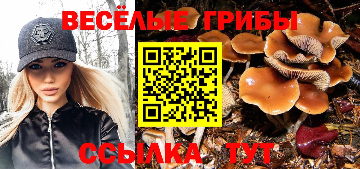 Галлюциногенные грибы Cubensis Михайловск